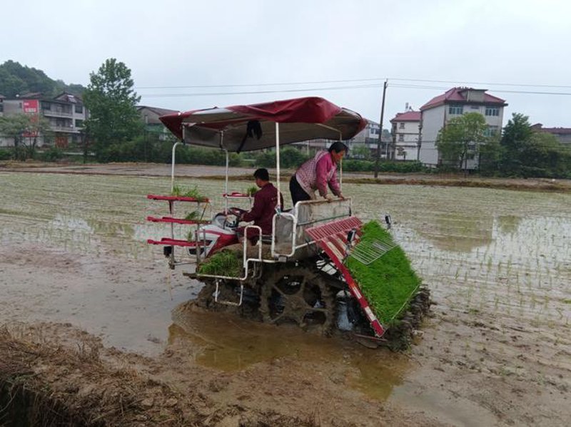 旋耕机使用技巧：深耕土地，轻松播种